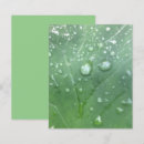 Search for dew drop Green