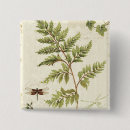 Search for fern leaf badges Ivies