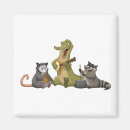 Search for bayou magnets Alligator