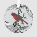 Search for cardinal photo christmas tree decorations Wildlife