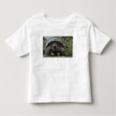 Search for isabela tshirts Ecuador