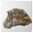 Search for natural sciences tiles Geology