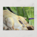 Search for foods postcards Asian