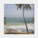 Search for playa magnets Caribbean