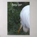 Search for egrets art Photography