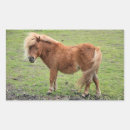 Search for horse pictures stickers Nature