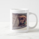 Search for chocolate labrador mugs Cute