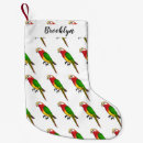 Search for parrot christmas stockings Cartoon