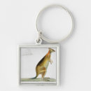 Search for kangaroo key rings Marsupial