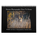 Search for harris photography Nature