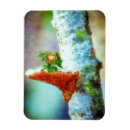 Search for white wings magnets Fantasy