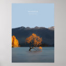 Search for new zealand travel posters Illustration