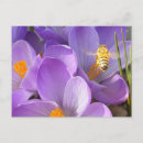 Search for hovering postcards Nature
