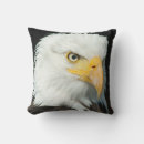 Search for eagle cushions Bird