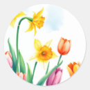 Search for daffodils stickers Tulips