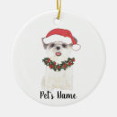 Search for shih tzu gifts white