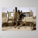 Search for working dog posters Military