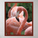 Search for pink flamingo art Water birds