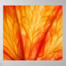 Search for orange slice posters Background
