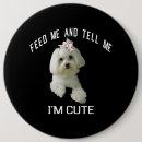 Search for funny dog quotes badges Pet