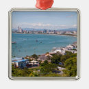 Search for architecture christmas tree decorations Skyline