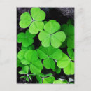 Search for march 17th postcards Shamrock