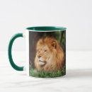 Search for lion picture mugs Colour image