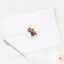 Search for highland cattle stickers Rustic