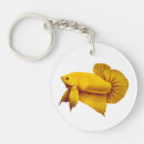 Search for betta fish key rings Aquarium