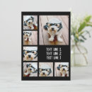 Search for 7 photo cards Modern