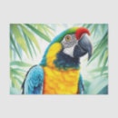 Search for parrot tissue paper Animal