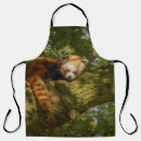 Search for red panda aprons Wildlife