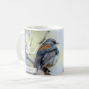 Search for junco mugs Dark eyed junco