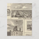 Search for cedars postcards Lithographed