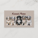 Search for herding business cards Shepherd