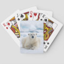 Search for adult playing cards Arctic