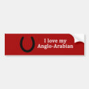 Search for arabian horse bumper stickers Equine
