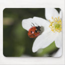 Search for ladybug mousepads Summer