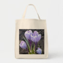 Search for crocus bags Nature
