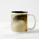 Search for vulpes vulpes mugs Animal