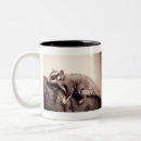 Search for glider mugs Animal