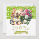 Search for presented cards Dog