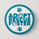 Search for foster badges Cat