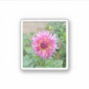 Search for pink dahlia stickers Garden