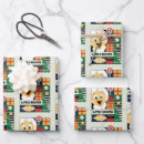 Search for tweety bird wrapping paper Animation
