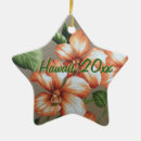 Search for hawaii christmas tree decorations Hibiscus