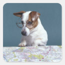 Search for dog with glasses stickers Horizontal