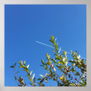 Search for clear sky posters Summer