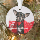 Search for first dog christmas tree decorations Modern