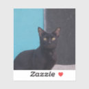 Search for surprised cat stickers Animal